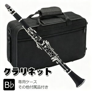 Nlbg 10[ht Kp Zbg P[Xt { 17L[ B \vm ABS Sғ ty w Z w Kpy OXZbgt MtgΉ