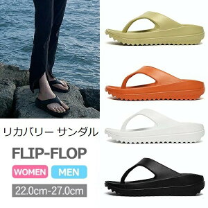 T_ Jo[ T_ fB[X y Y ₷ ɂ _炩gOT_ X|[cT_ Xbp r[`T_ C J