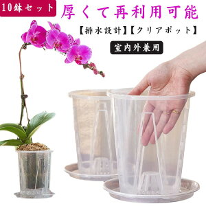 yX[p[SALEzzAؔ  vX`bN Ӓ̐Aւ a14cm Mt a10cm Ӓp h~  ʋCQ a12cm 10Zbg m rt ^  ̔ 