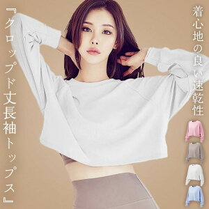 KEFA gbvX fB[X  seBXEFA V[g vI[o[  OX[u z  ̘r Jo[  WEF zbgK KgbvX ̑