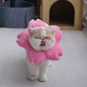 エリザベスカラー S 桜 さくら 富士山 魚 ウェア おしゃれ 猫グッズ 小型犬 犬グッズ ソフト 柔らかい ふわふわ クッション 軽量 手術 傷 猫用エリザベスカラー 犬 舐 足 保護 犬用