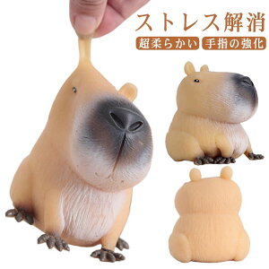  XgXObY Jso  a ՂɂՂɓ ߋ  ? ɂԂ _炩 Ղ NX}X ObY 蕨 v[g