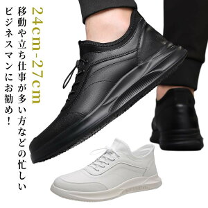 rWlXV[Y Y Xj[J[ vC RtH[gV[Y JWAV[Y Xb|  rWlX jO amC tH[} Ȑ  ʋ ₷ h
