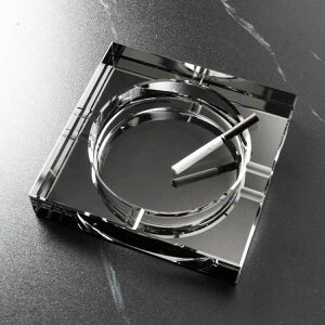 yX[p[SALE30OFFzDM NX^ KX DM  傫TCY v[g 蕨 ̓ 2021 Mtg ItBX qObY