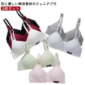 K[Y mC[u WjAu fB[X w 3Zbg  ȍ uW[ w q n  LbYu quW[ XN[ wZ Ci[