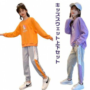 XEFbg ㉺Zbg LbY W[WZbg  ̎q vI[o[ pc Zbg g[i[ K[Y jR[ WK[pc N[lbN ʊw ^ ъԊwZ Cws