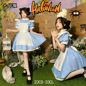 Vo nEB Ch ̎q fB[X q s[X t` SVbN tGv wAoht RXv lp  ubN NX}X p[eB[ [^