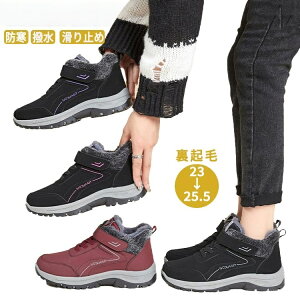 Xm[u[c fB[X y N u[c hC Xj[J[ {A h h h  p ₷ V[gu[c C AEghA ʋΗp JWA  g ~p