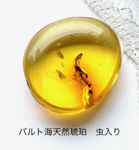 【天然琥珀】【虫入り琥珀】【琥珀ルース】【琥珀ペンダント】高級天然琥珀 パワーストーン インセクト バルト海産天然琥珀 レアなルース