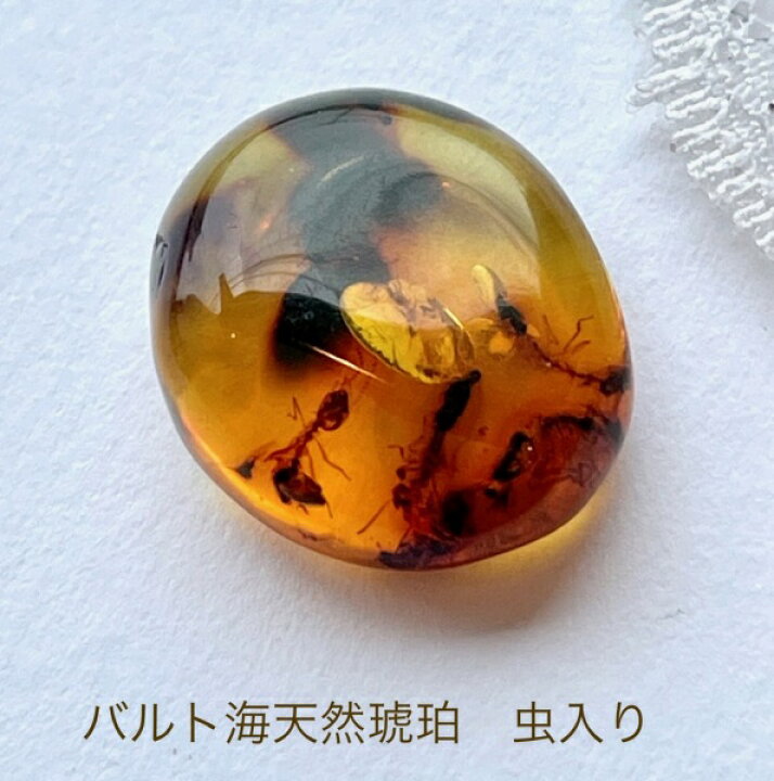 楽天市場】【天然琥珀】【虫入り琥珀】【琥珀ルース】【琥珀ペンダント 