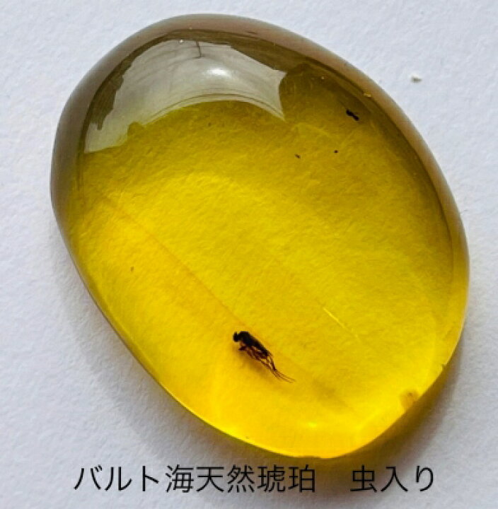 楽天市場】【天然琥珀】【虫入り琥珀】【琥珀ルース】【琥珀ペンダント 