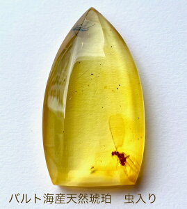 yVR߁zߒ [X@CZNgAo[@ogCYVR߁@@p[Xg[@傫