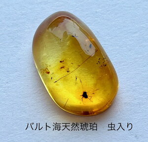 【天然琥珀】【虫入り琥珀】【琥珀ルース】バルト海天然琥珀 パワーストーン インセクト クリアーな琥珀