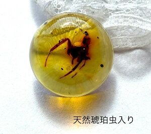 yVR߁zyp[Xg[z@v[g@Y@@VR΁@bsO