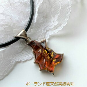 y y_gzy lbNXzyVR߁zy傫߁zyVo[z{vlbNX@Y