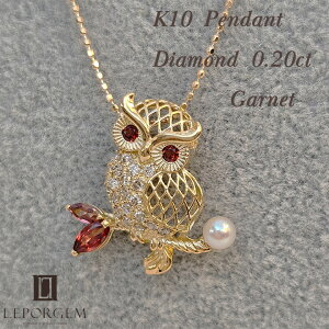 K10 ӂ낤 _C S[h y_ggbv lbNX t[`[t  킢  I lC  fB[X ANZT[ WG[ LEPORGEM v[g Mtg y