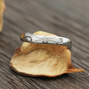 w O PT100 (v`i10)   V{}[N  _C 0.01ct fB[X Y NX}X