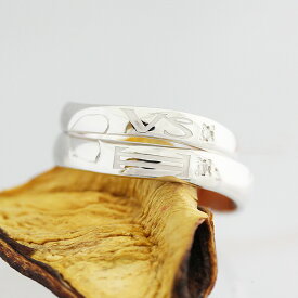 結婚指輪 ペアリング 2本セット価格 PT100 (プラチナ10％) ダイヤ 0.01ct 星座 シンボルマーク 彫刻 レディース メンズ クリスマス