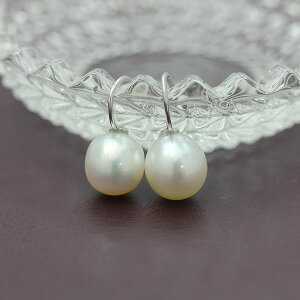 y}\N[|z sAX K10WG W^(8mm`8.5mm) p[ 1 zCgS[h tbNsAX NX}X WG[