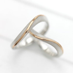 w yAO PT100 (v`i10) K18PG S CO sNS[h Rr ޏ NX}X }bWO