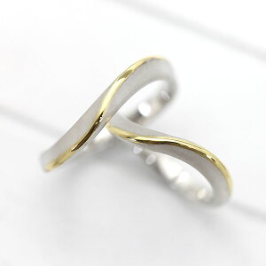 w yAO PT100 (v`i10) K18YG S CO CG[S[h Rr ޏ NX}X }bWO