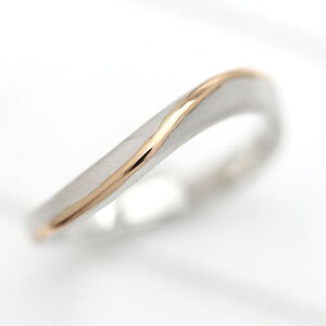 w Y v`i PT900 K18PG Vv CO }bWO sNS[h Rr YO ޏ NX}X