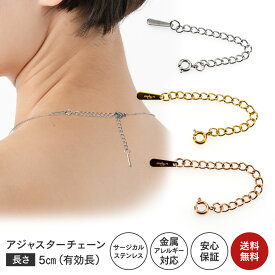 Napist サージカルステンレス ネックレス 5cm アジャスター チェーン