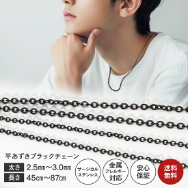 ネックレス チェーン メンズ 316L サージカルステンレス 金属アレルギー対応 チタンコーティング NPN302 ブラック 光沢 つや消し