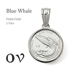 �y�_7,000�~OFF�N�[�|���Ώہ^�z�m17���i���j9��59���܂Łn�R�C�� �y���_���g �v���`�i Pt999 Pt900 ���v���`�i �y���_���g�g�b�v �R�C���l�b�N���X �`���[���Y�O�� �R�C���y���_���g�g�b�v 1/10 oz