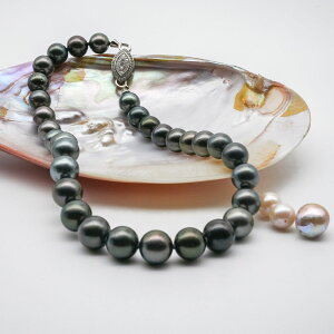 ^ lbNX ubN 12.0mm`13.5mm (JR-NL-0028)