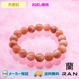 IW[Xg[ uXbg 16.0cm (JR-BR-0010) VR R  ANZT Mtg v[g JWA fB[X p Vv 荠  lł ig 