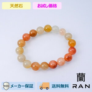 iAQ[gj uXbg 15.5cm (JR-BR-0016)VR R  ANZT Mtg v[g JWA fB[X p Vv 荠  lł ig  p