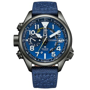V`Y rv v}X^[h BN4065-07L ViKi CITIZEN PROMASTER LAND AeBN GRhCu Y 