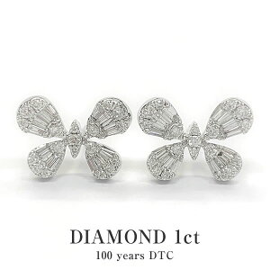 _ChsAX 18 zCgS[h K18WG _Ch  fB[X  XWG[ ANZT[ uh 蕨 v[g 