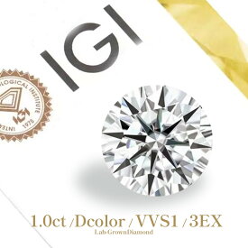【 送料無料 】【 IGI 鑑定書付 】ダイヤモンド ルース ct 宝石 1CT Dカラー VVS1 3EX ラウンド ブリリアント ラボグロウン ラボダイヤ 裸石 一粒 高品質 鑑定書付き 1カラット 1ct プロポーズ クーポン ギフト 大人 レディース プレゼント ジュエリーキャッスル