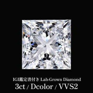 ダイヤ ルース」の人気商品一覧 | 安い商品を通販サイトから探す 