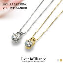 1カラット H＆C エレガント ネックレス レディース 大人 プラチナ ジルコニア 誕生日 プレゼント 記念日 ジュエリー 金属アレルギー 金属アレルギー対応 女性 30代 40代 50代 アレルギー対応 ギフト プラチナネックレス クリスマス 2025