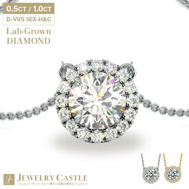 【Pt900 又は K18 】 計 0.63ct / 1.15ct ダイヤモンド HALO ネックレス レディース 0.5ct 1.0ct 18金 ネックレス ラボグロウン ダイヤ シンプル ダイヤネックレス ダイヤモンドネックレス ジュエリー 女性 ギフト プレゼント 記念日 結婚記念日 クリスマス 2025