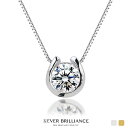 【 楽天1位 】 馬蹄 ネックレス レディース シンプル 馬蹄ネックレス ネックレス ペンダント 石 ホースシュー ゴールド プラチナ 18金 プレゼント 誕生日プレゼント 人気 彼女 妻 女性 20代 30代 40代 50代 ギフト 母の日 ギフト 花以外 早割