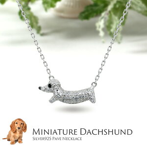 lbNX  hbO _bNX ~j`A_bNX ( fB[X `F[ 킢 45cm a v[g  AM[ AM[Ή Vo[ Vo[925 v`i WR