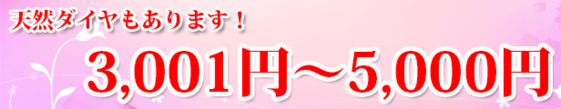価格帯3
