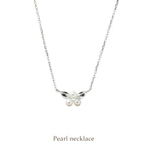 ySizv`iWp[ lbNX ^ lbNX fB[X Vv GKg Mtg 蕨 v[g