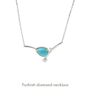 ySizv`igR_ClbNX _Ch gR ^[RCY lbNX fB[X Vv GKg Mtg 蕨 v[g