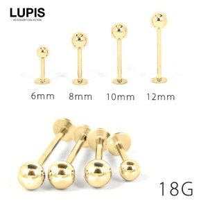 {fBsAX 18G ubgX^bh sAX C[u wbNX |Ȃ T[WJXeX AM[Ή S[h  