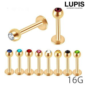 {fBsAX 16G ubgX^bh T[WJXeX AM[Ή Xg[ WG Ȃ sAX   LUPIS sX