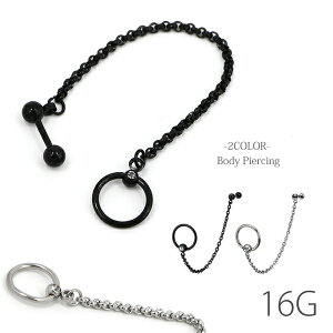 {fBsAX 16G Xg[go[x LveBur[Y sAX T[WJXeX AM[Ή JX^ `F[   LUPIS sX