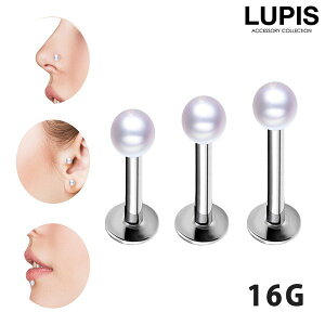 {fBsAX 16G ubgX^bh p[{[ sAX gKX  ɏ T[WJXeX AM[Ή   LUPIS sX