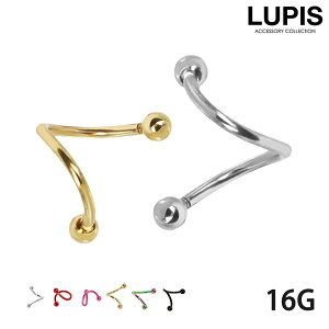 {fBsAX 16G XpCo[x  T[WJXeX AM[Ή S[h Vo[ bh sN ubN   LUPIS sX