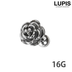 {fBsAX 16G Xg[go[x t[ [Y o AeB[NVo[ sAX wbNX T[WJXeX AM[Ή   LUPIS sX