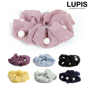 yX[p[SALEzizVV wAANZT[ p[ 킢 pXe ݃J[ jAXJ[ ItBX wZ   v`v LUPIS sX